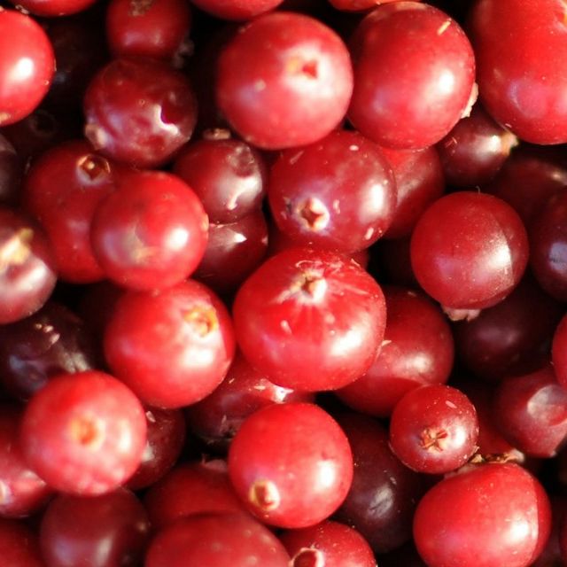 Cranberry