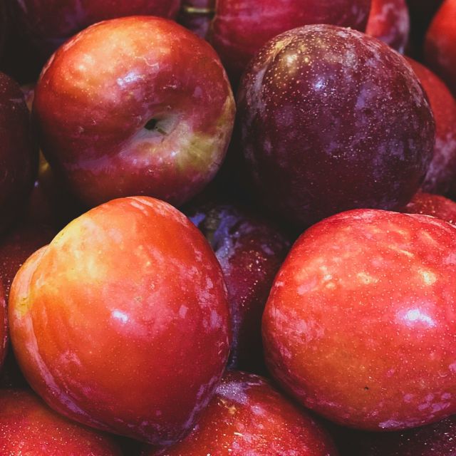 Plum