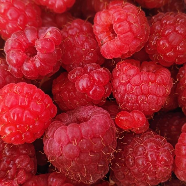 Raspberry